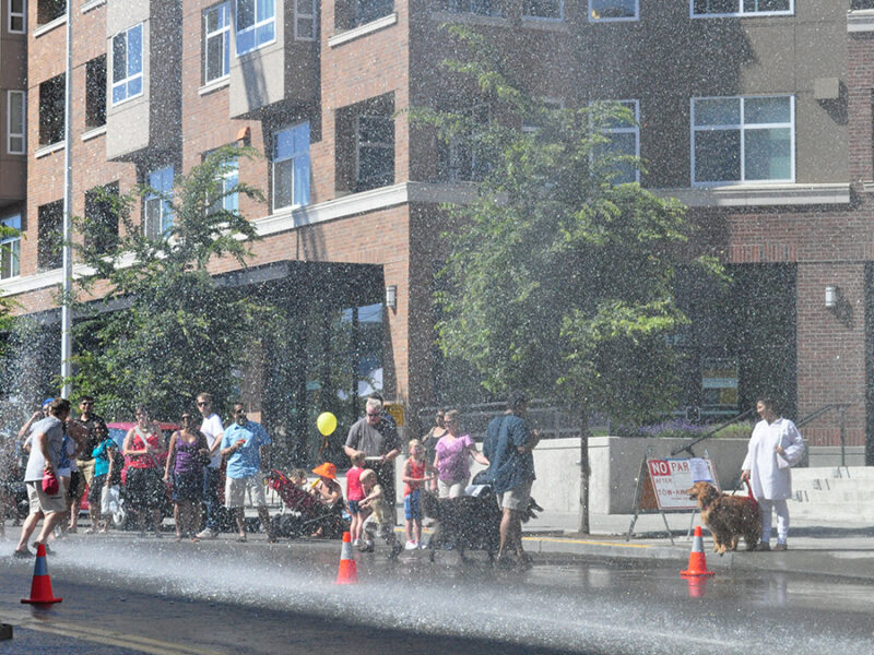 Extreme Heat in U.S. Cities Revealed at High Resolution