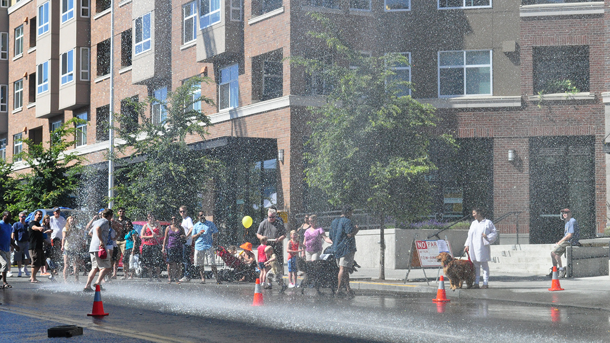 A spray of water droplets falls onto a city street on a sunny day in front of a brown, multistory building. A crowd of people and dogs watch and play in the spray.