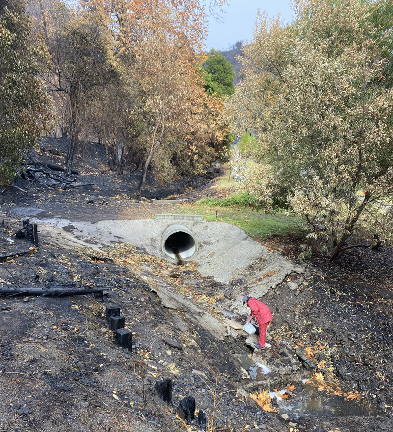 A person in a red waterproof jacket and pants collects water coming out of a ravine drainpipe with a bucket. A mix of burned and unburned trees cover the background.