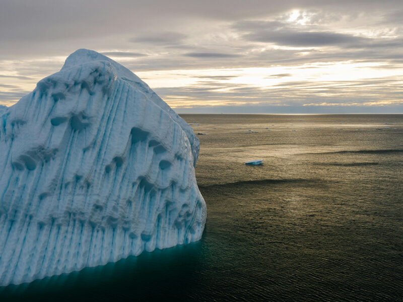 Arctic Ice Shelf Theory Challenged by Ancient Algae