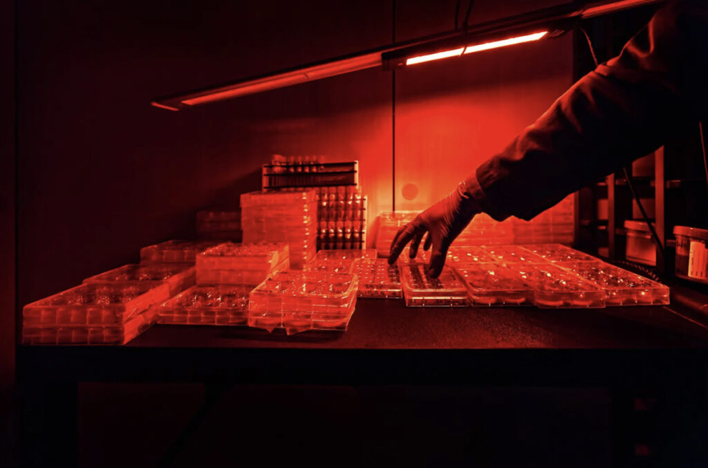 A hand extends toward a collection of containers under a red light.
