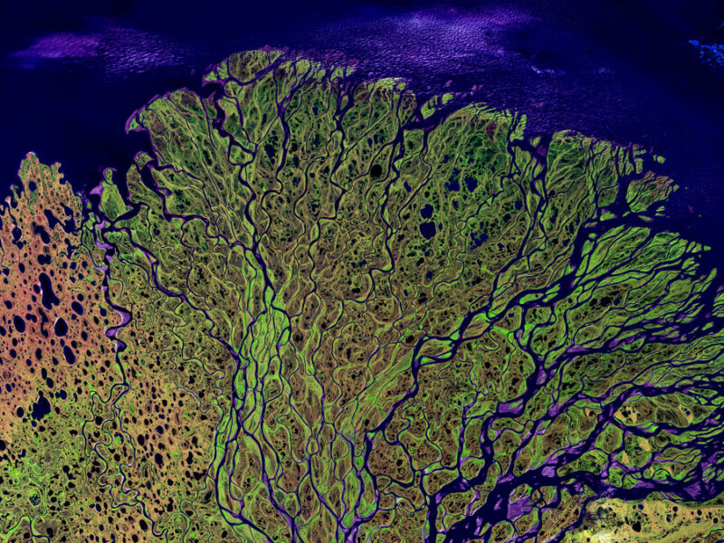 Arctic Rivers Trade Inorganic Nitrogen for Organic
