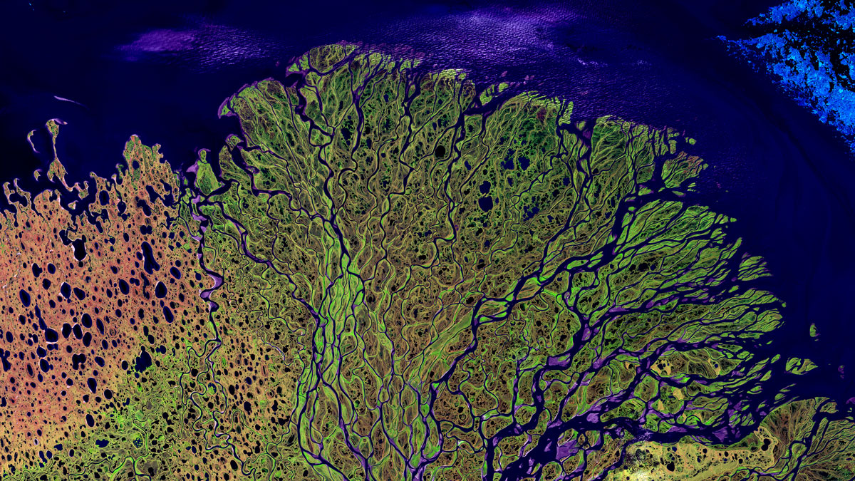 A satellite image of a river becoming a fan-shaped delta and then draining into the ocean.