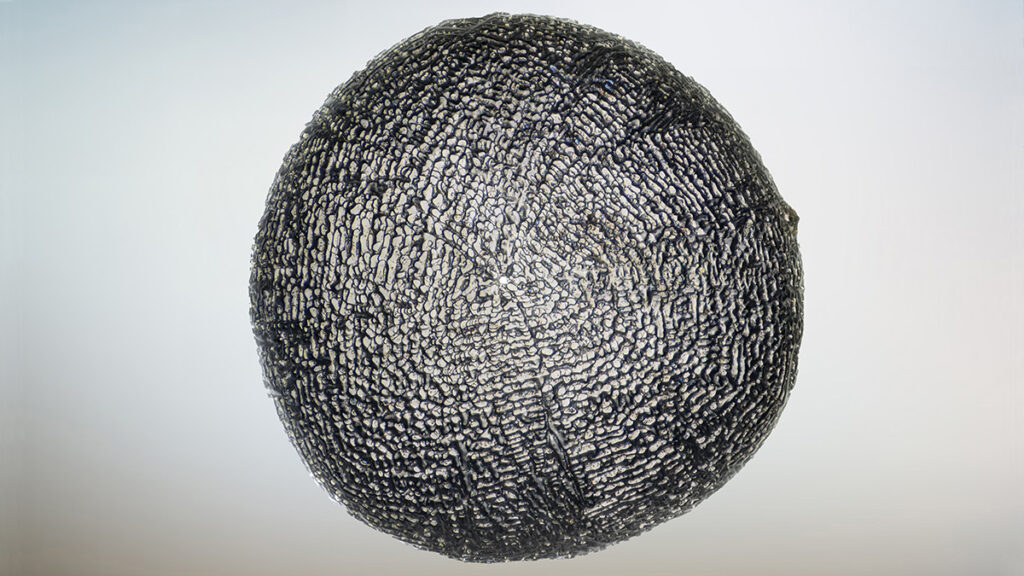 A spherical, gray object with a mottled, shiny surface