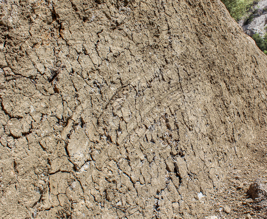 Curved lines are seen on the wall of an outcrop on the Kekerengu Fault, which ruptured during the 2016 Kaikōura earthquake.
