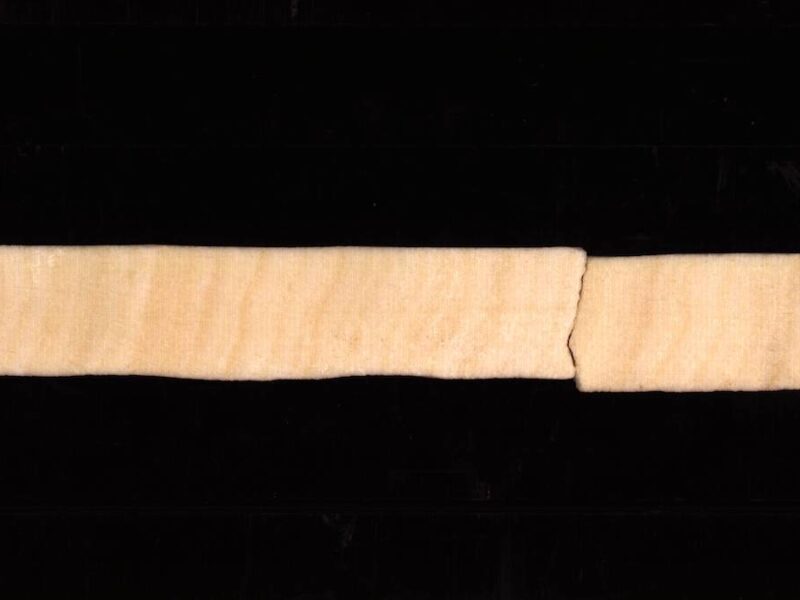 Coral Cores Pinpoint Onset of Industrial Deforestation