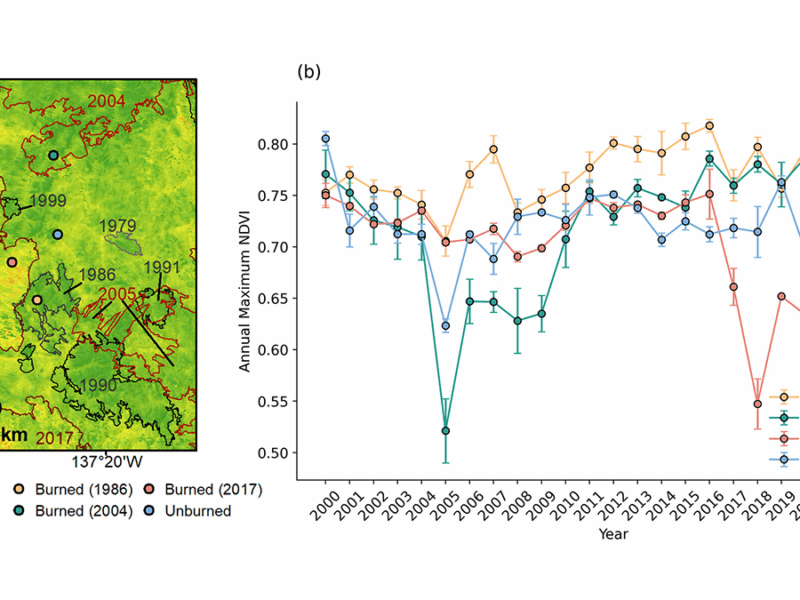 Radar Surveys Reveal Permafrost Recovery After Wildfires