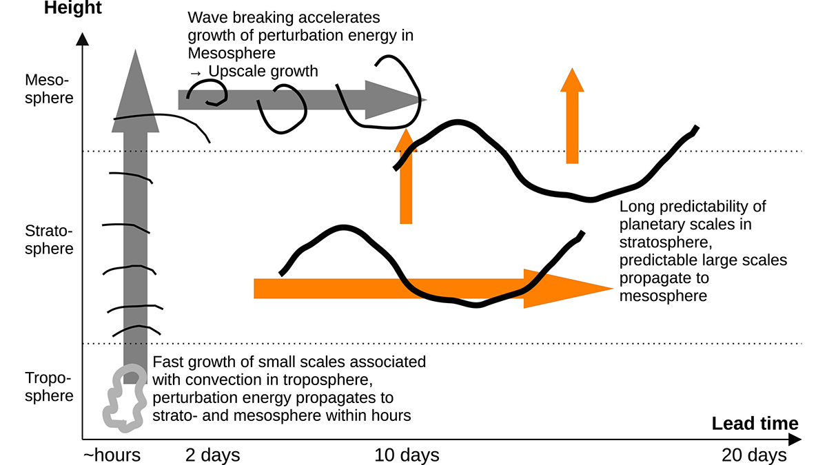 Diagram from the study