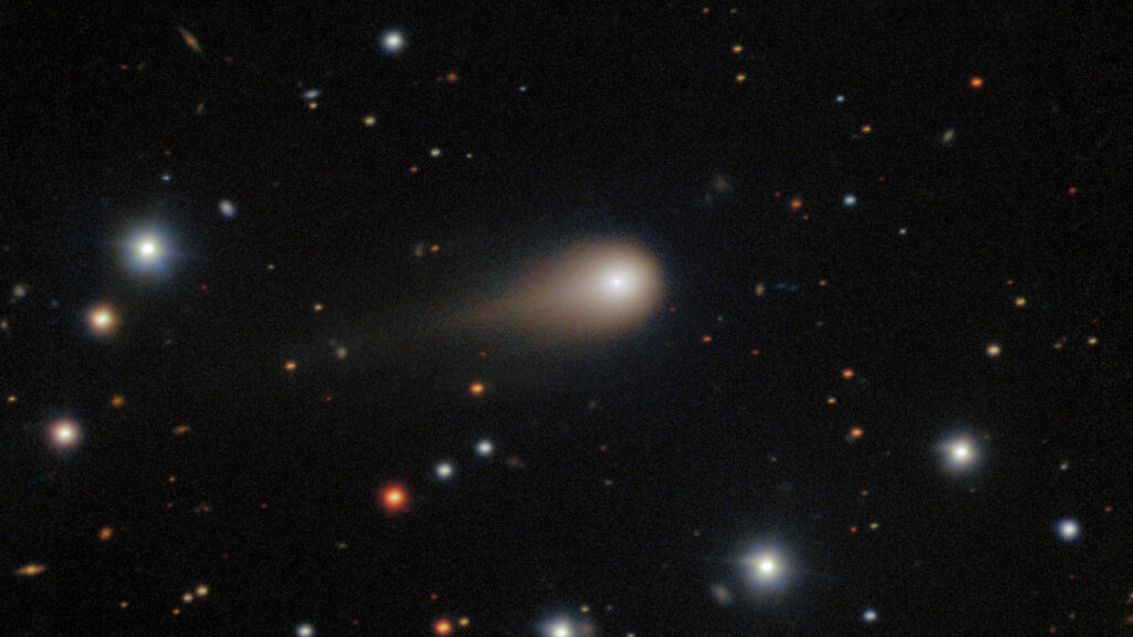 A comet with a compact coma and a short tail in front of a background of stars.