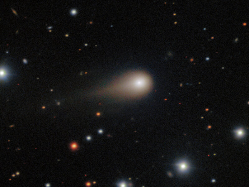 How an Interstellar Interloper Spurred Astronomers into Action