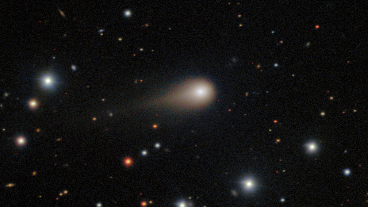 A comet with a compact coma and a short tail in front of a background of stars.
