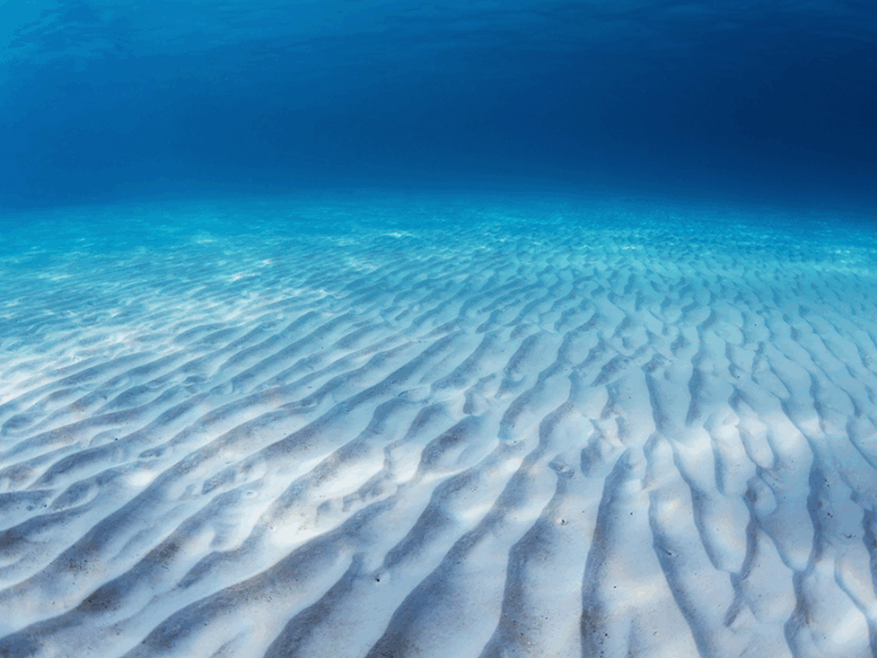 A First Look at How Sand Behaves Inside a Rippled Bed