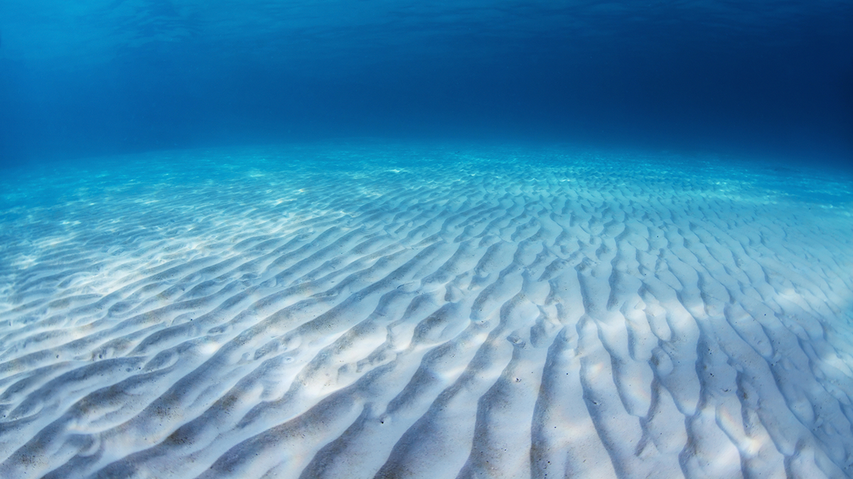 Photo of sand ripples underwater.