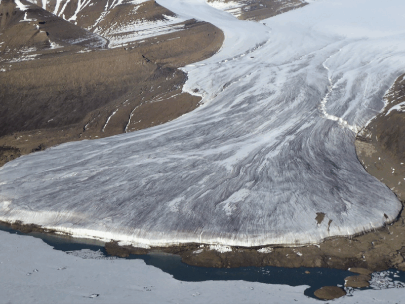 How Glacial Forebulges Shape the Seas and Shake the Earth