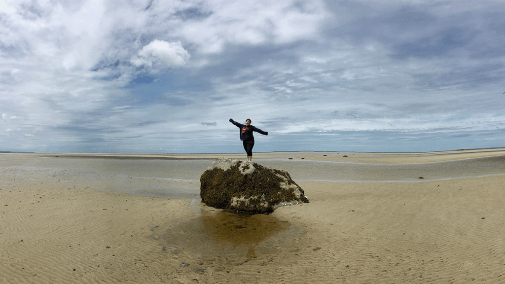 A person standing on a large boulder by the ocean.