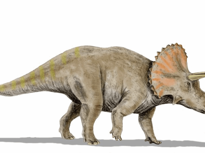 Move Over, Beavers. Dinosaurs Might Also Have Been Nature’s Engineers