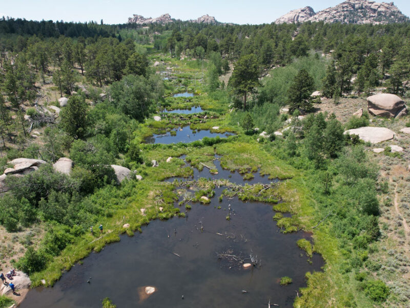What Makes Beaver Ponds Bigger?