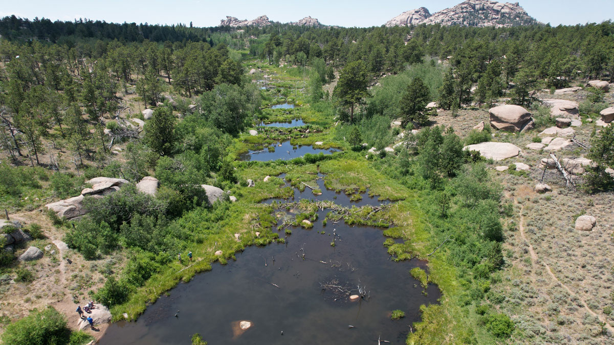 What Makes Beaver Ponds Bigger?