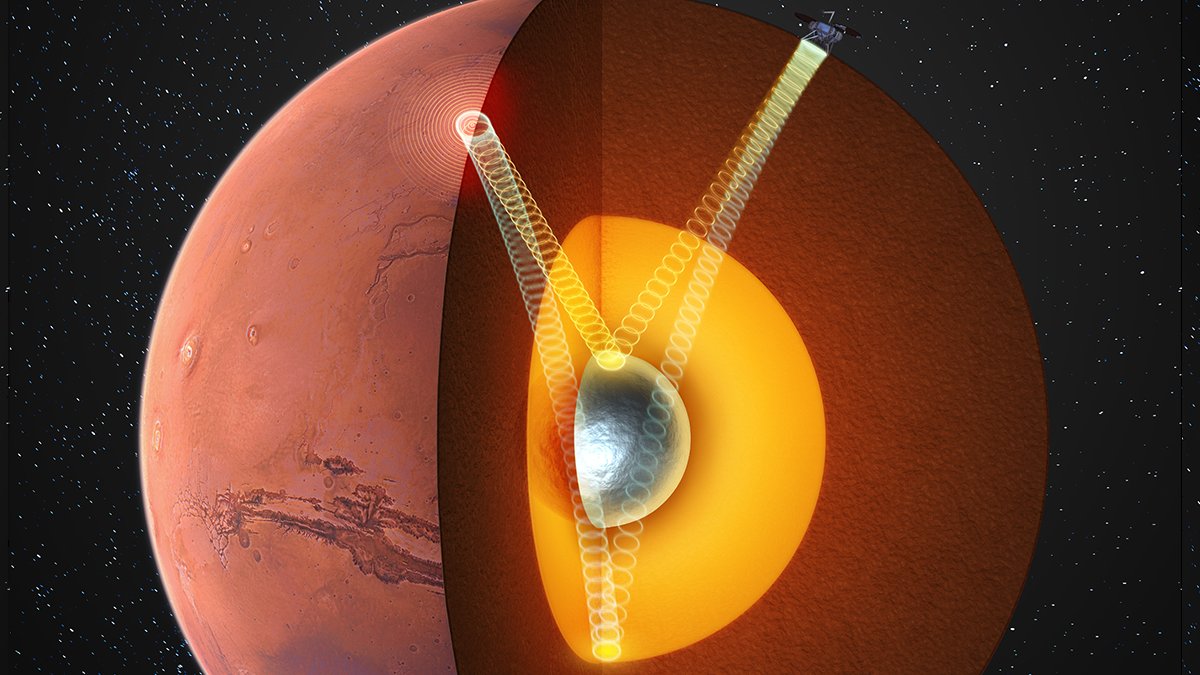Cutaway diagram of seismographic waves passing through the interior of Mars, with a metal core at center