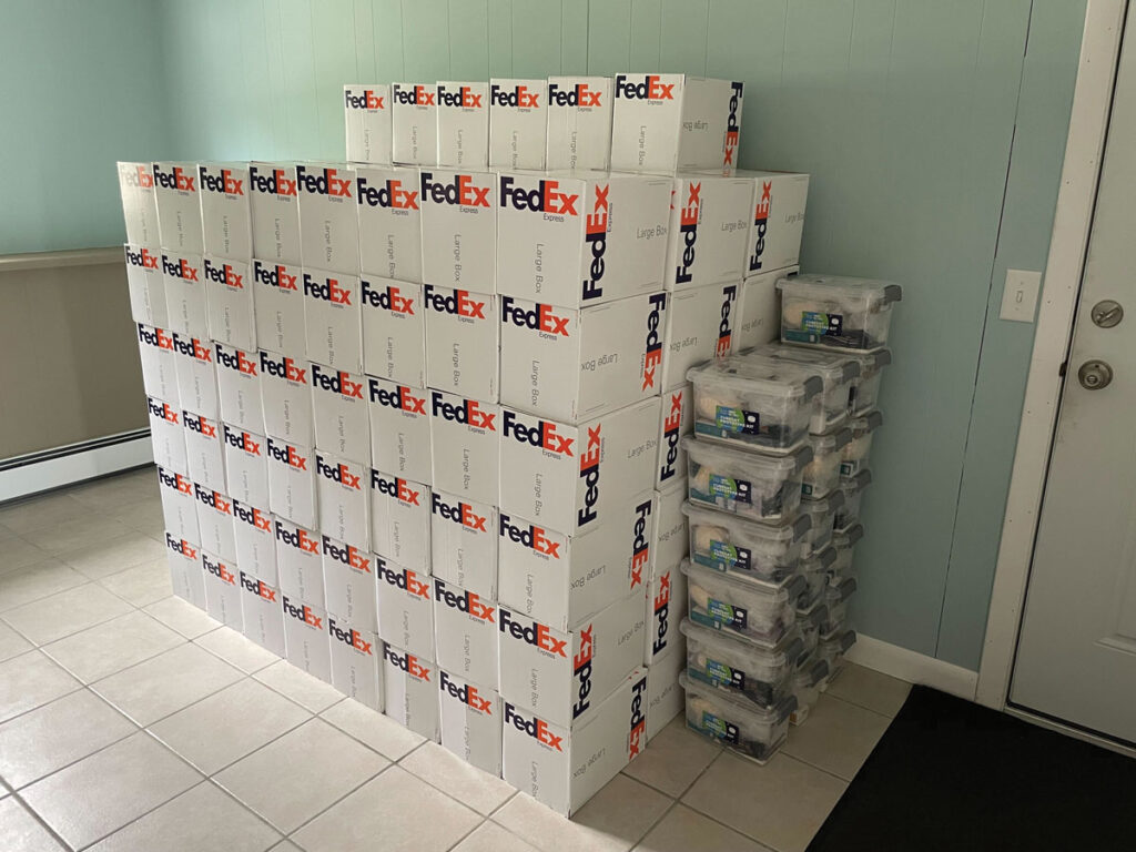Dozens of small white boxes with purple and orange “FedEx” logos are stacked high. Next to them are several small clear plastic crates.