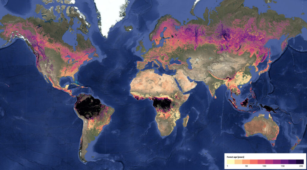 A world map highlighting the ages of forests.