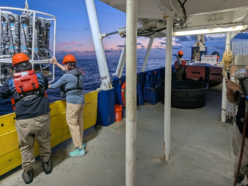 Cruise to Measure Gulf Dead Zone Faces Stormy Funding Future