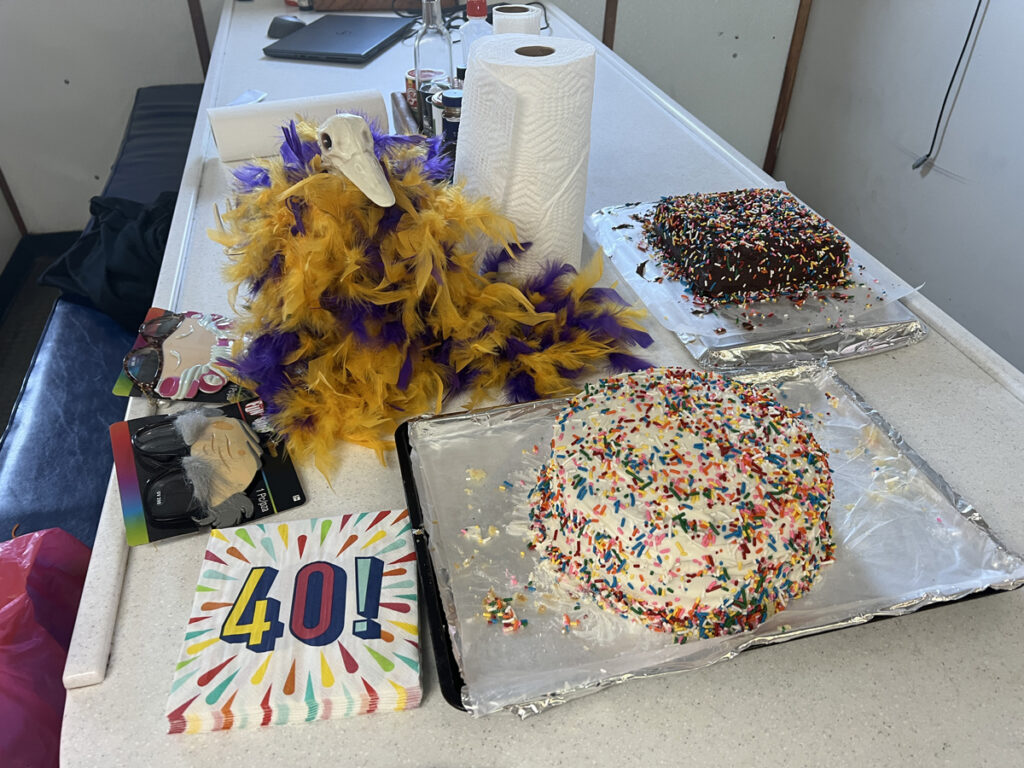 Two cakes, a feather boa, and a stack of napkins that say “40!” are on a table.
