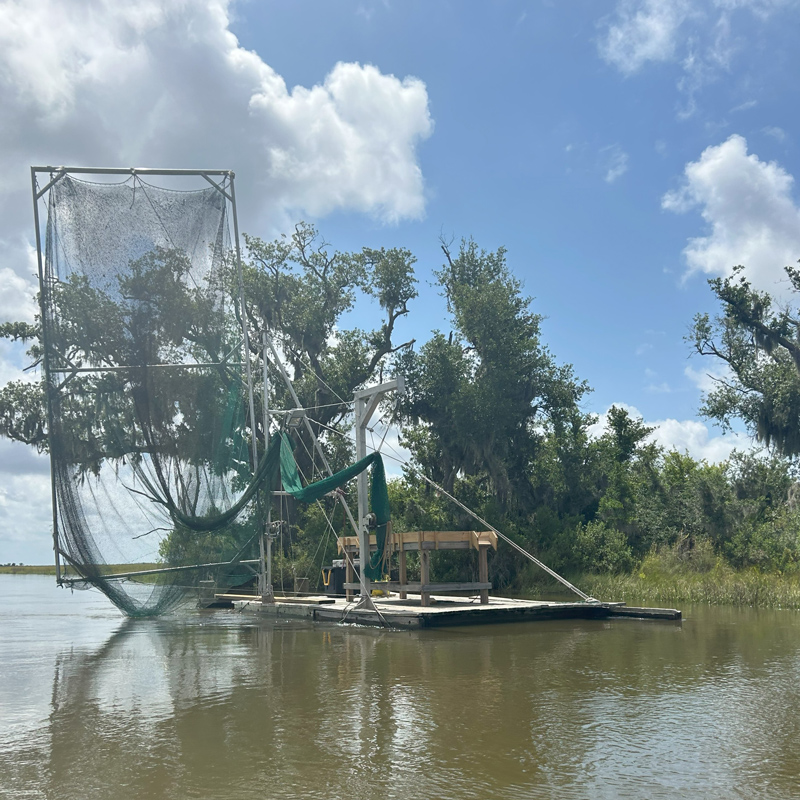 A large shrimp net drapes from metal scaffolding anchored to a wooden platform that sits on a muddy-looking waterway in front of bayou vegetation.
