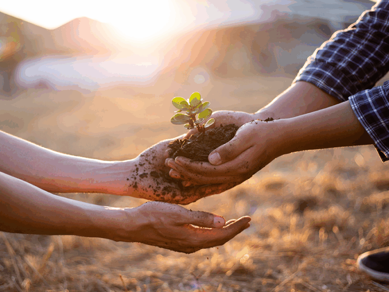 Publishing Participatory Science: The Community Science Exchange