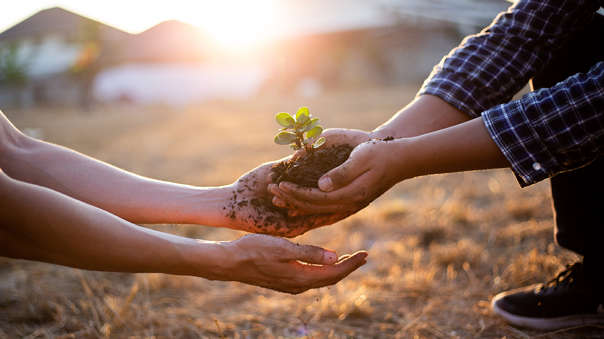 Two people passing a plant to each other.