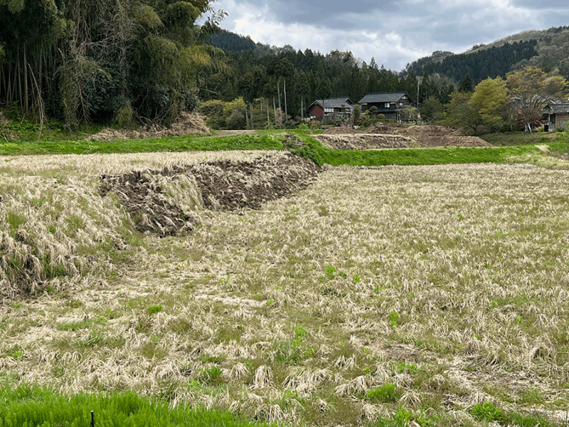 When the Earth Moves: 25 Years of Probabilistic Fault Displacement Hazards