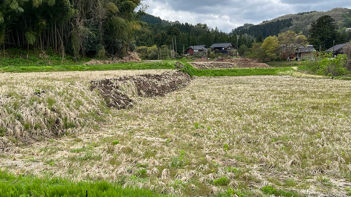 Photo of a fault rupture.