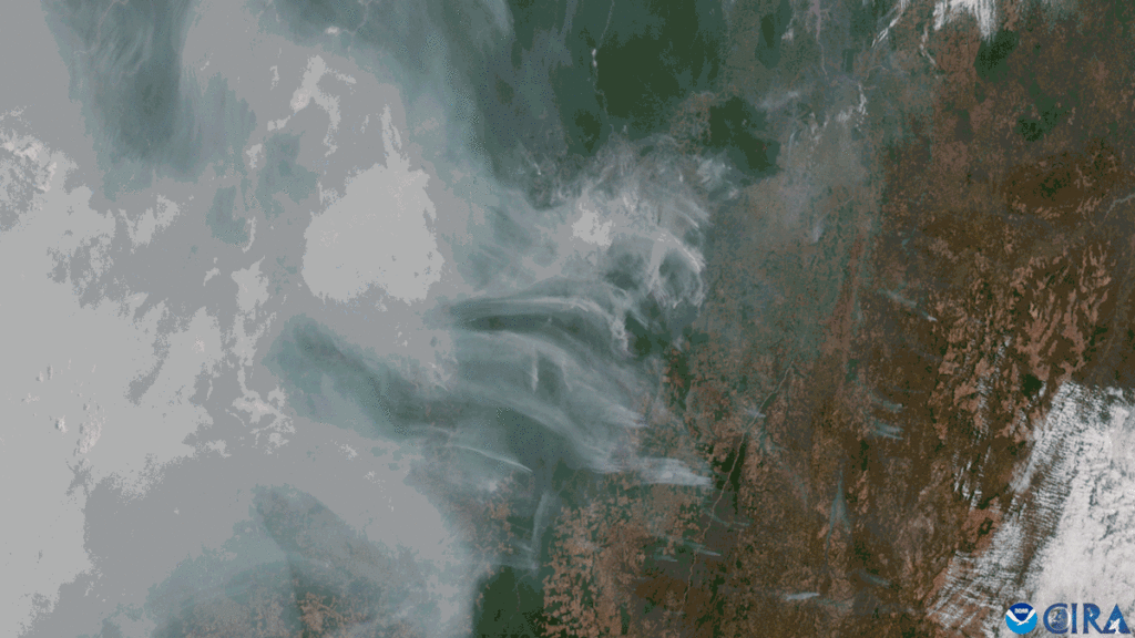 A gif of satellite imagery shows smoke blowing over the Amazon as fires burn within it.