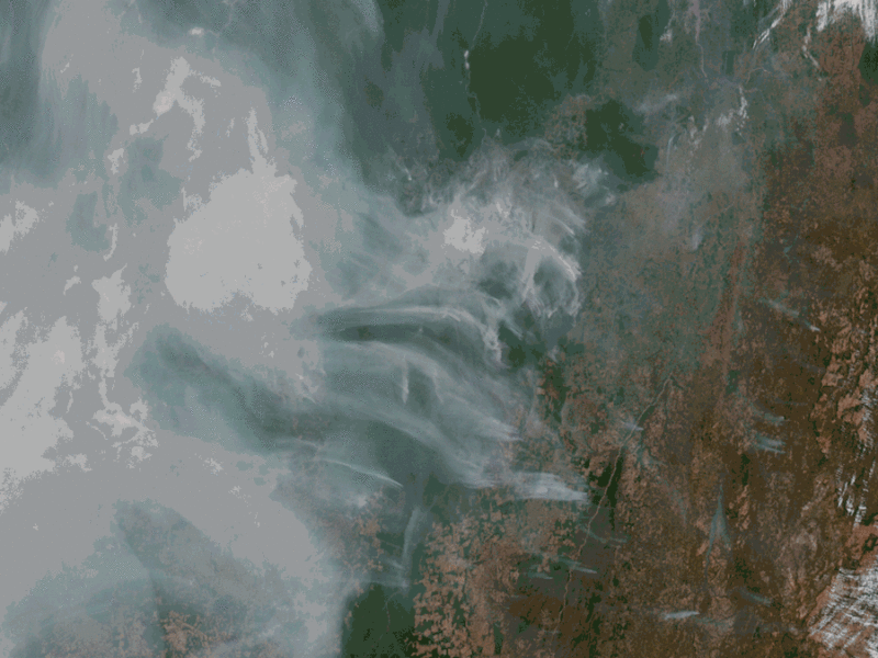 Fire, Not Deforestation, Is Now the Amazon’s Biggest Carbon Emitter