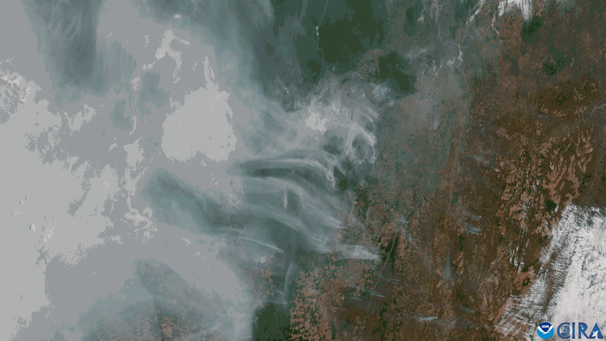 A gif of satellite imagery shows smoke blowing over the Amazon as fires burn within it.