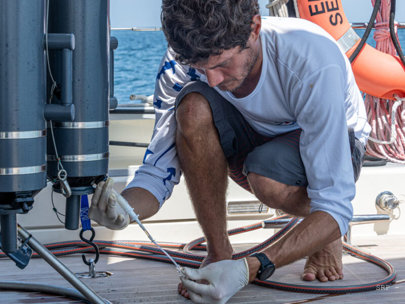 Panama’s Coastal Waters Missed Their Annual Cooldown This Year