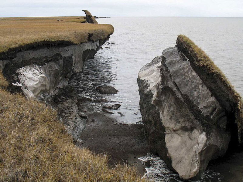In Arctic Soils, Methane-Eating Microbes Just Might Win Out over Methane Makers