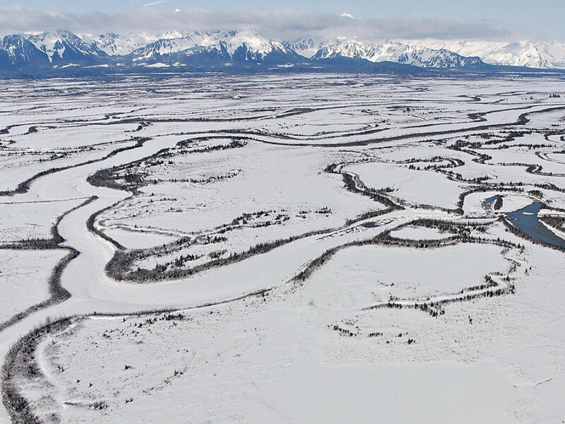 Tectonics and Climate Are Shaping an Alaskan Ecosystem