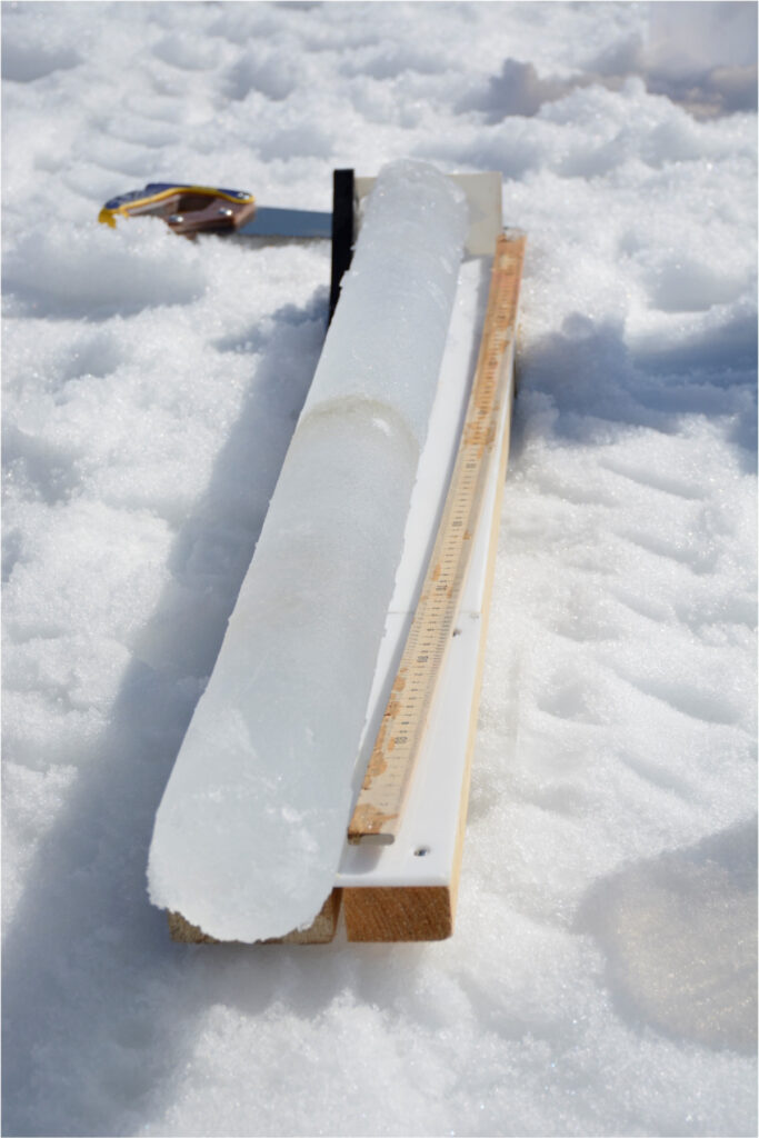 An ice core sits on a wooden platform on an ice surface next to a meter stick and a hand saw. The ice core is slightly longer than a meter.
