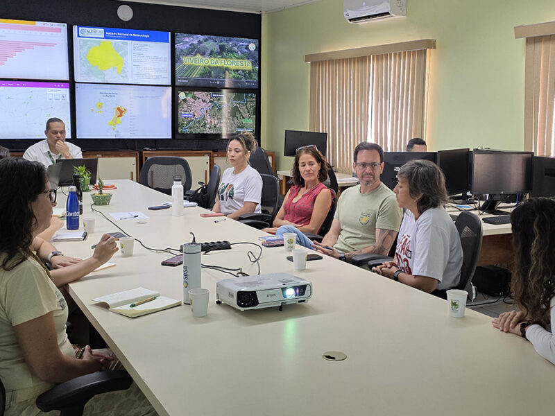 In Parts of the Brazilian Amazon, Science Leads the Fight Against Forest Fire