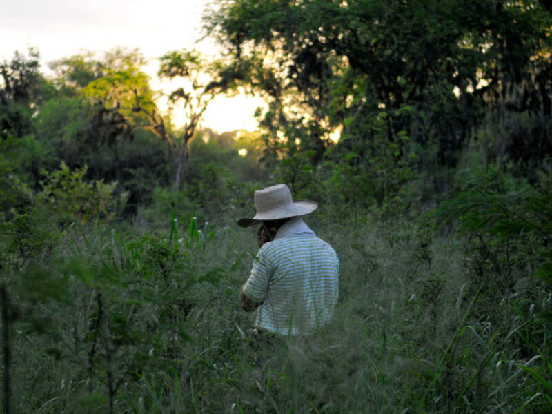 REDD+ Results and Realities