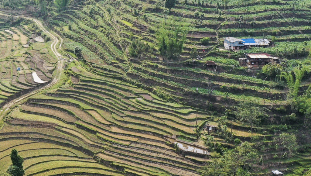 An image shows green terraces and ponds at a farm on a hill.