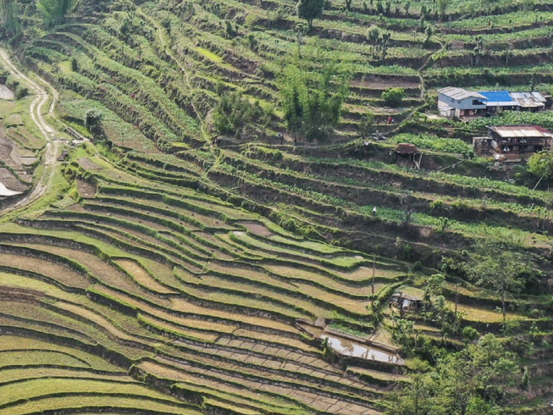 Developing Nations Need 12 Times More Financing to Meet Climate Adaptation Needs