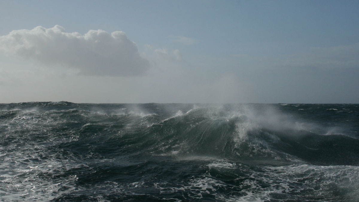 A wave rises on the ocean surface, and a cloud floats in a blue sky.
