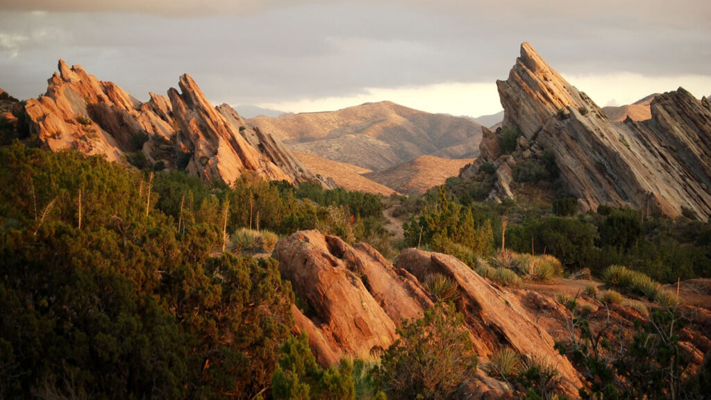A group of rocks point upwards at a 45-degree angle. They are surrounded by green brush and lit up by warm sunset light.