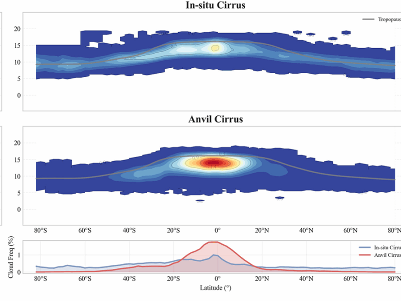 Understanding Relative Atmospheric Roles of Anvil and In-situ Cirrus Clouds