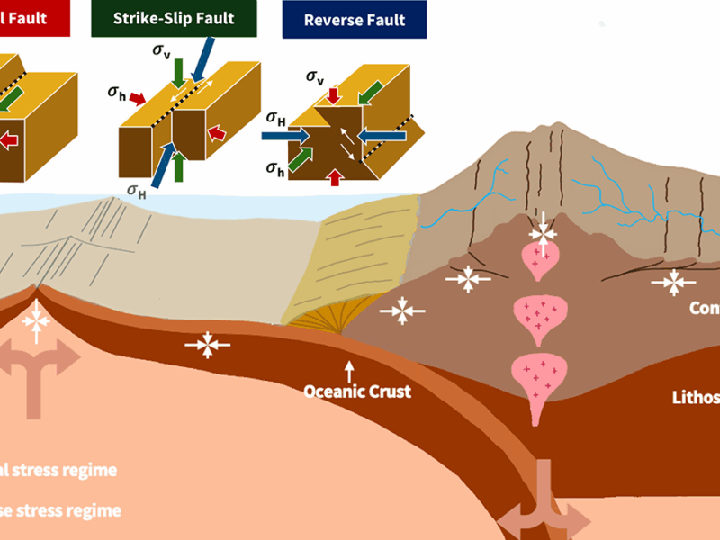 From Mantle Flow to River Flow: Shaping Earth’s Surface from Within