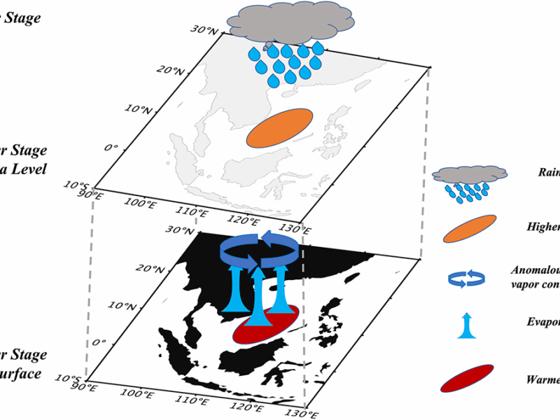 Marine Heatwaves Reshape Precipitation Patterns