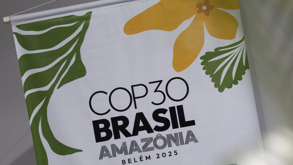 A banner with leaves and flowers and the text "COP30 BRASIL AMAZONIA BELÉM 2025."