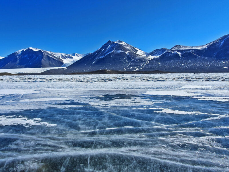 The Land Beneath Antarctica’s Ice Might Be Full of Water